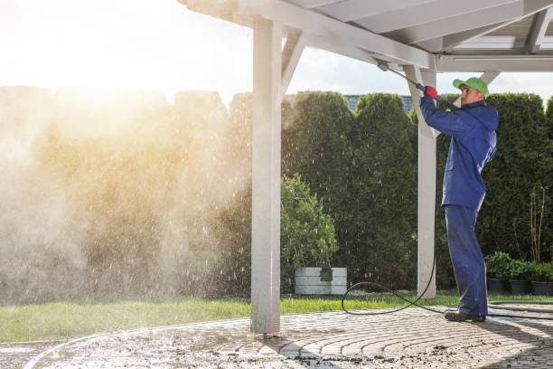 Best Roof Cleaning and Mildew Removal in Milford, OH